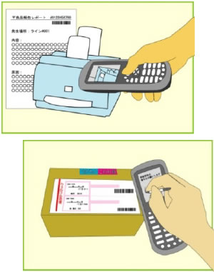 Dolphin 6100 InfoHunterWt